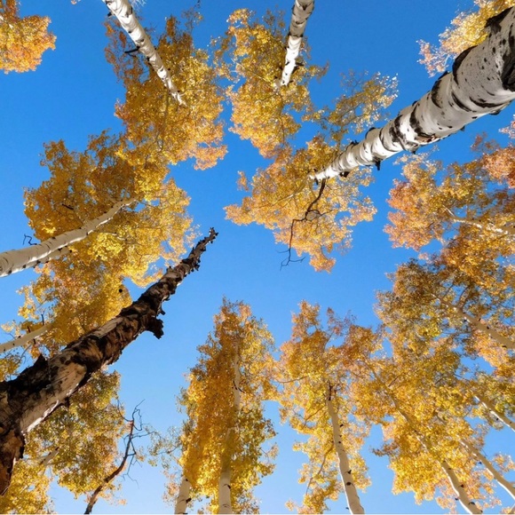 Meet your Posher, Zhel - Picture 14 of 14